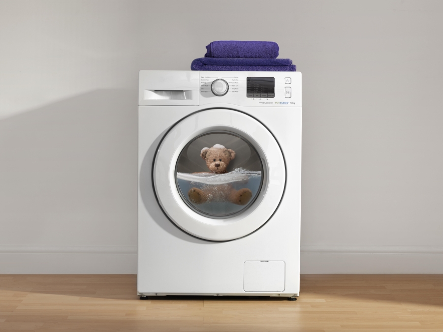 Teddy in washing machine.