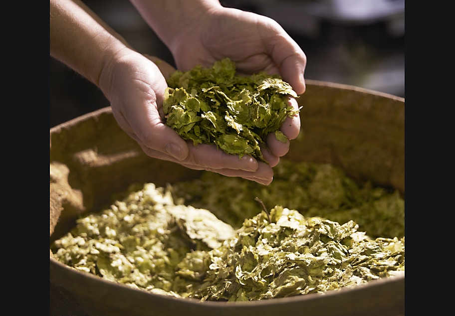 Woodforde's Brewery